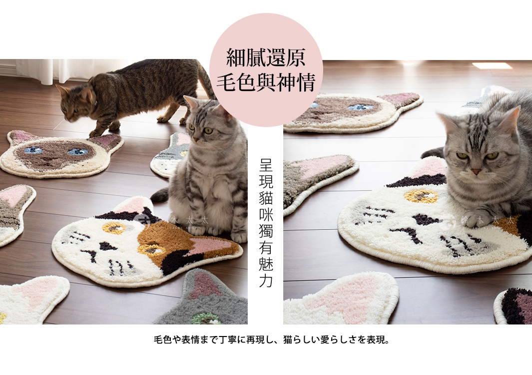 幾隻活生生的貓咪與與牠們花色對應的貓臉造型地墊放在木質地板上，這些椅墊細膩還原了不同品種貓咪的毛色與神情，呈現出貓咪獨有的魅力與可愛感。