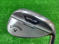 OPUS Chrome 50-10S 挖起桿 (桿身 DG(JP))