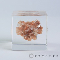 透明立方體內嵌入一簇橘棕色霰石晶體，晶體呈放射狀聚集，部分晶面清晰可見。