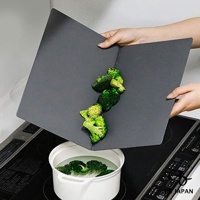 atomico系列 摺疊砧板-L (深灰)