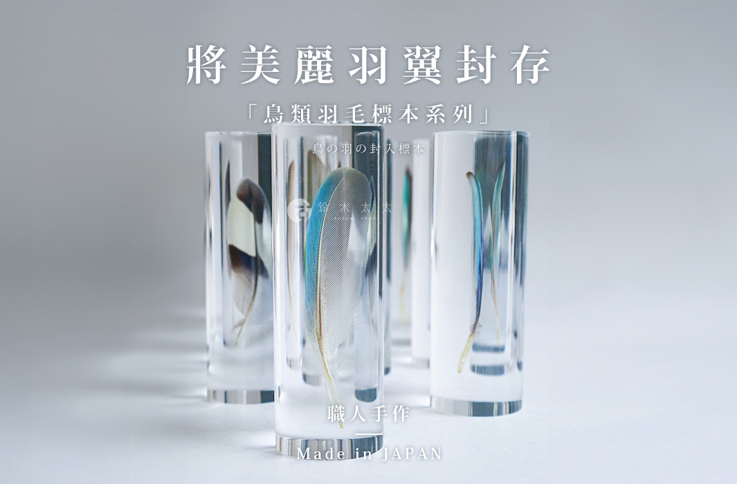 透明樹脂封存多根鳥類羽毛標本，其中包含藍色、棕色、白色及綠色的羽毛，呈現自然紋理與色彩。